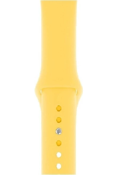 Pazariz Apple Watch Uyumlu38mm - 40mm - 41mm 1 2 3 4 5 6 Se 7 8 Için Silikon Spor Kordon Kayış ürün görseli 1