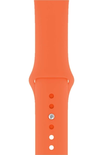 Pazariz Apple Watch Uyumlu1/2/3/4/5/6/7/8/se/ultra 38mm 40mm 41mm 42mm 44mm 45mm 49mm Kordon Kayış ürün görseli 1