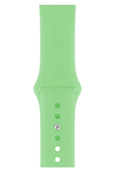 Pazariz Apple Watch Uyumlu3 4 5 6 7 8 Se 38 40 41mm Kordon Kayış Klasik Silikon Uyumlu ürün görseli