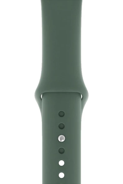 Pazariz Apple Watch Uyumlu1/2/3/4/5/6/7/8/se/ultra 38mm 40mm 41mm 42mm 44mm 45mm 49mm Kordon Kayış ürün görseli 1