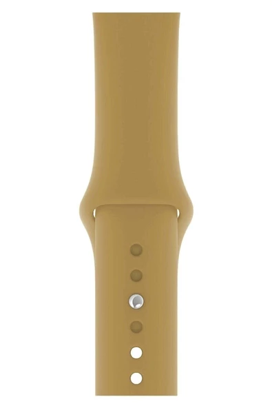 Pazariz Apple Watch Uyumlu3 4 5 6 7 8 Se 38 40 41mm Kordon Kayış Klasik Silikon Uyumlu ürün görseli 1