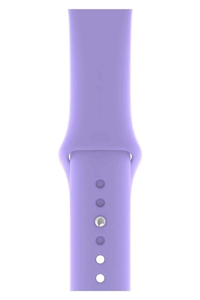 Pazariz Apple Watch Uyumlu3 4 5 6 7 8 S 38 40 41mm Kordon Kayış Klasik Kaliteli Silikon Kordon ürün görseli 1