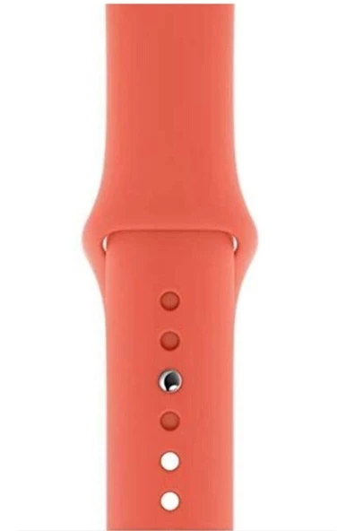 Pazariz Apple Watch Uyumlu3 4 5 6 7 8 Se 38 40 41mm Kordon Kayış Klasik Kaliteli Silikon ürün görseli