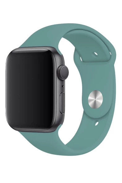 Pazariz Apple Watch Uyumlukordon S Beden 1 2 3 4 5 6 7 Se 42 Mm/44 Mm/45mm Silikon Kordon Kayış - Resim 3