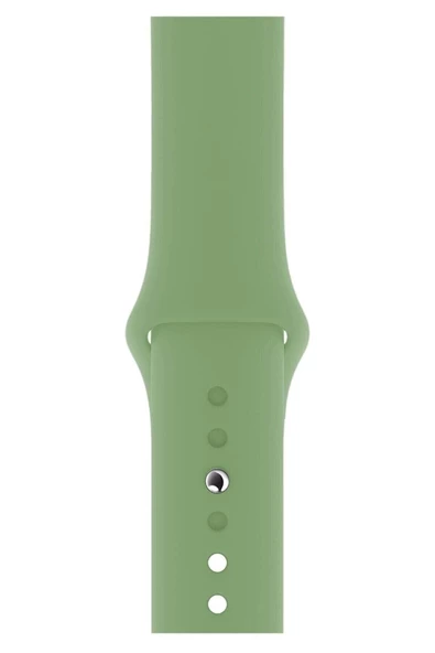 Pazariz Apple Watch Uyumlu3 4 5 6 7 8 Se 38 40 41mm Kordon Kayış Klasik Uyumlu ürün görseli 1