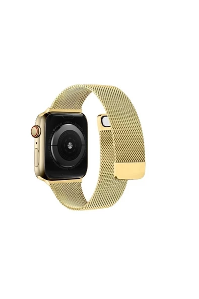 Pazariz Apple Watch Uyumlu2 3 4 5 6 7 8 Se 38 40 41 Mm Paslanmaz Çelik Milanese Kordon ürün görseli