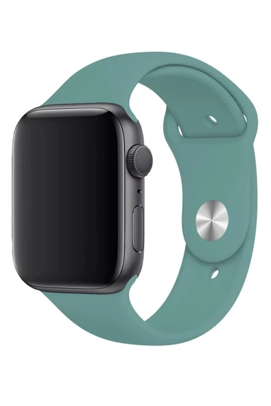 Pazariz Apple Watch Uyumlu44mm Yüksek Kalite Spor Klasik Silikon Kordon - Resim 3