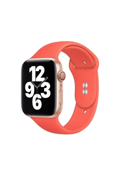 Pazariz Apple Watch Uyumlu2 3 4 5 6 Se 38 Mm 40 Mm Spor Sililkon Kordon ürün görseli 1