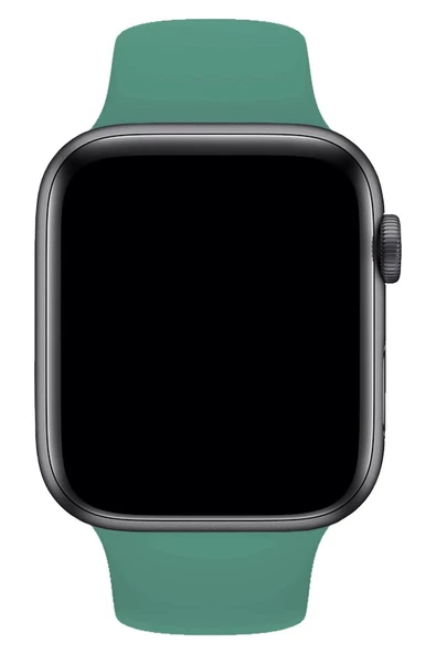 Pazariz Apple Watch Uyumlu44mm Yüksek Kalite Spor Klasik Silikon Kordon - Resim 2