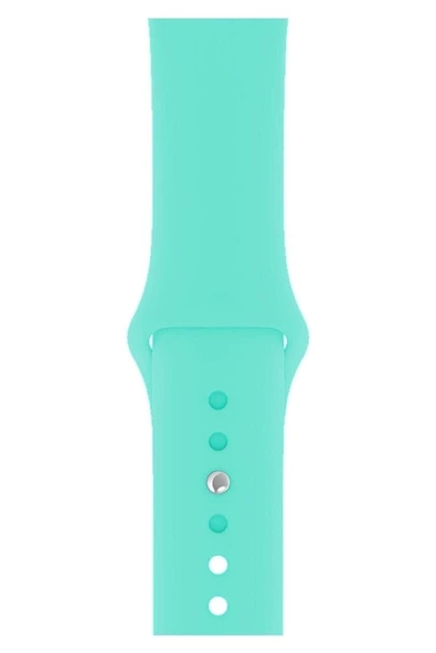 Pazariz Apple Watch Uyumlu3-4-5-6-7-8-se-42-44-45-49 Mm Kordon Kayış Klasik Kaliteli Silikon