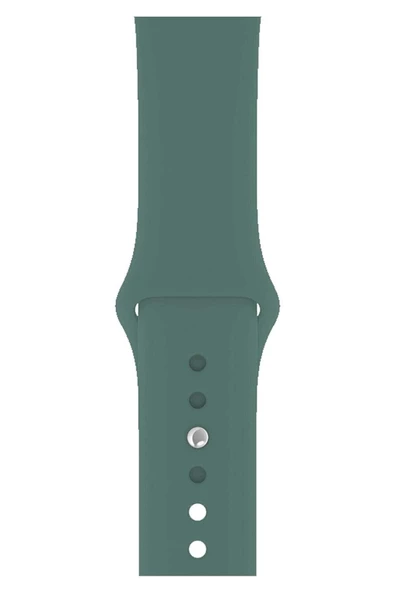 Pazariz Apple Watch Uyumlu3-4-5-6-7-8-se-42-44-45-49 Mm Kordon Kayış Klasik Kaliteli Silikon