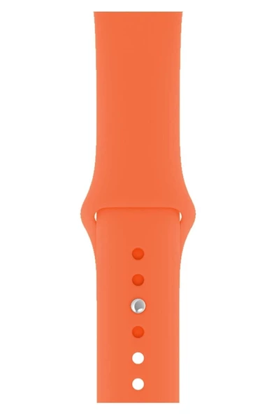 Pazariz Apple Watch Uyumlu3 4 5 6 7 8 Se 42 44 45mm Kaliteli Spor Klasik Slikon Kordon Kayış