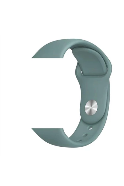 Pazariz Apple Watch Uyumluklasik Kordon 38 Mm