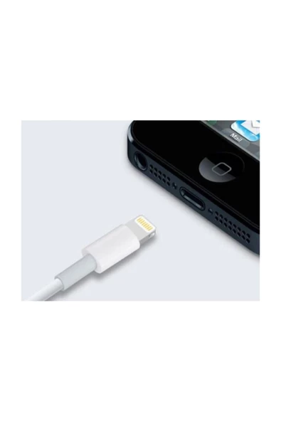 Pazariz Iphone 8 Ve 8 Plus Data Kablosu