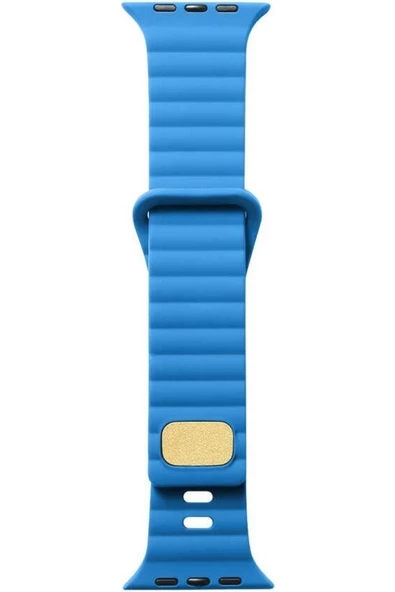 Pazariz Apple Watch Uyumluseries 8 41mm Kordon Silikon Metal Tokalı Ayarlanair Krd73 Mavi ürün görseli 1