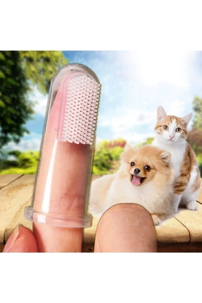 Pazariz Kedi Ve Köpek Için Parmak Diş Fırçası, Saklama Kutulu