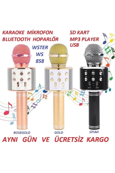 Pazariz Ws-858 Karaoke Mikrafon Bluetooth Mp3 Çalar Sd-usb-aux Girişli