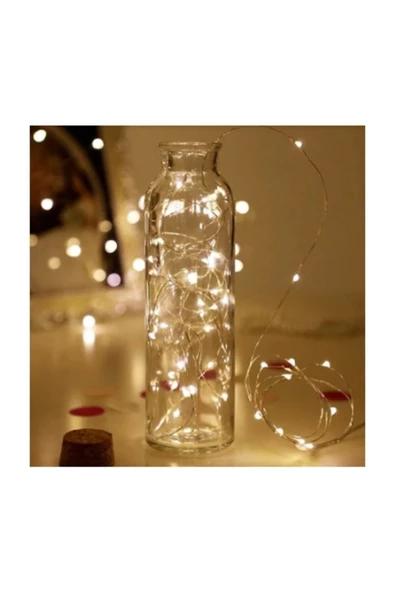 Pazariz Peri Led Ince Tel Pilli Dekoratif Led Işık Süs 3 M - Resim 2