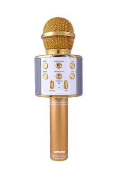 Pazariz C-792 Bt/tf/usb/fm Rose Gold Karaoke Mikrofon - Resim 3