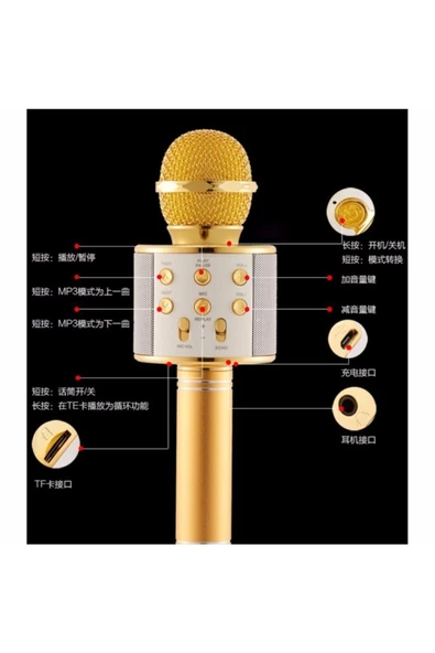 Pazariz Karaoke Mikrofon - Bluetooth Hoparlor