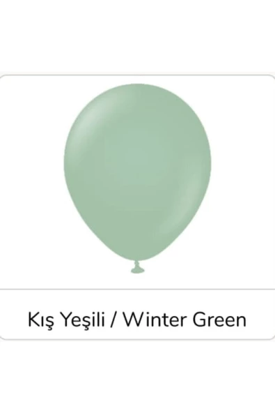 Pazariz 12" Retro Balon Kış Yeşili Renk 20 Adet