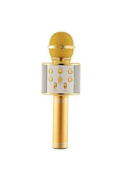 Pazariz Wster Ws-858 Karaoke Mikrofon - Resim 3