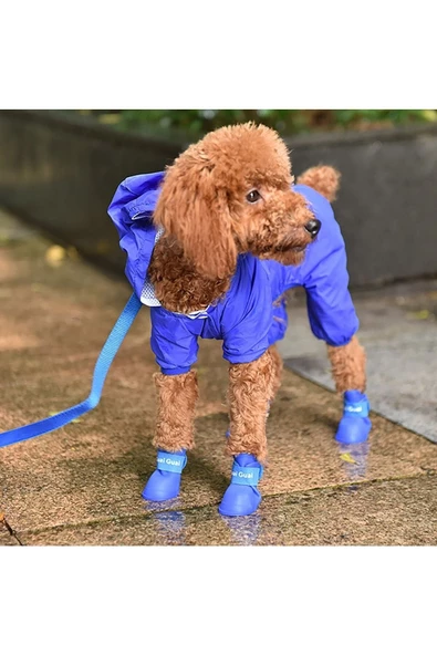 Pazariz Silikon Köpek Ayakkabı S Beden - 3