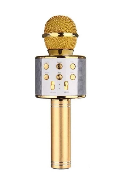 Pazariz Profesyonel Karaoke Mikrofon Wster Ws-858 Modeli Gold ürün görseli