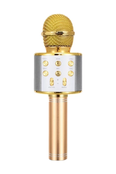 Pazariz Karaoke Bluetooth Mikrofon Gold - 1