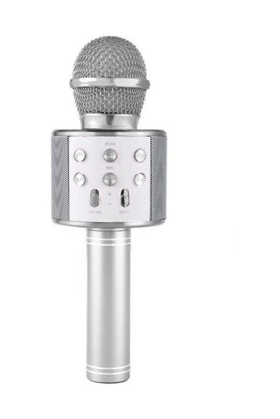 Pazariz Karaoke Silver