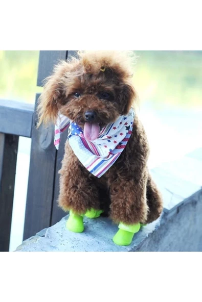 Pazariz Silikon Köpek Ayakkabı S Beden - 2