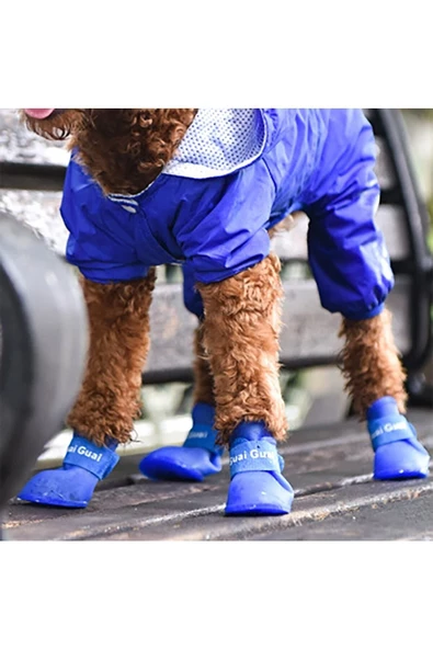 Pazariz Silikon Köpek Ayakkabı M Beden - 3