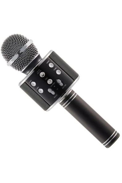 Pazariz Wster Ws-858 Karaoke Mikrofon - Resim 2