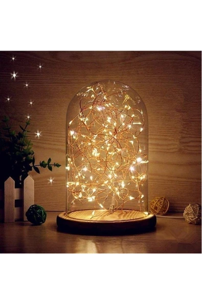 Pazariz 10mt Peri Günışığı 100 Led Pilli Noel Parti Yılbaşı Ağaç Dekor Aydınlatma Lamba Animasyonlu Süsleme ürün görseli 1