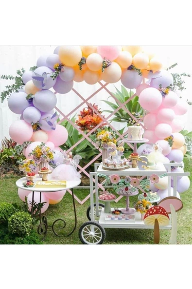 Pazariz Makaron Lila Pembe Somon Temalı Balon Ve Balon Zincir