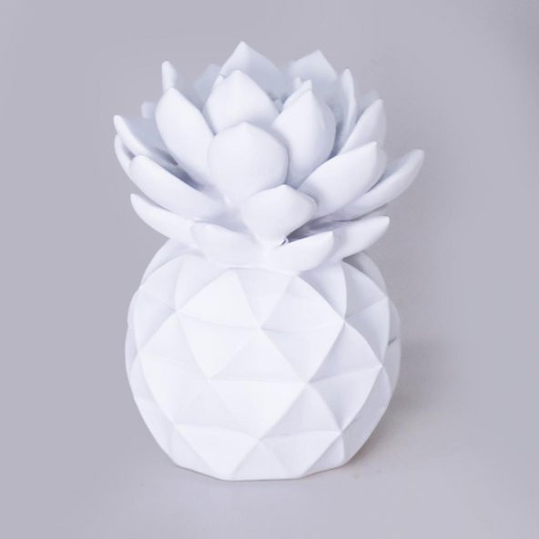 Selim Dekor Echeveria Dekoratif Aksesuar Beyaz