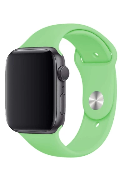 Pazariz Apple Watch Uyumlu3 4 5 6 7 8 Se 38 40 41mm Kordon Kayış Klasik Kaliteli Silikon - Resim 2