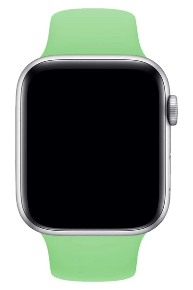 Pazariz Apple Watch Uyumlu3 4 5 6 7 8 Se 38 40 41mm Kordon Kayış Klasik Kaliteli Silikon - Resim 3
