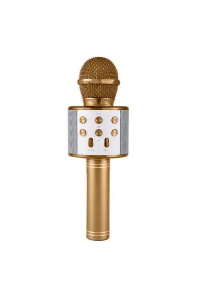 Pazariz Wster Ws-858 Gold Karaoke Mikrofon Bluetooth Hoparlör Aux Usb Mikro Sd Kart Girişli