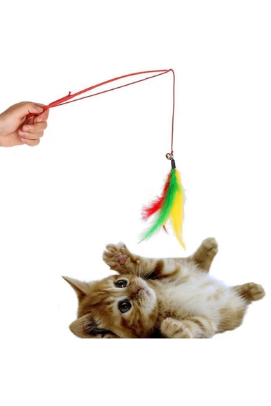 Pazariz Kedi Oltası - Fareli - 2