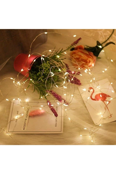 Pazariz Led Aydınlatmalar-peri Led Işık 5 Metre Gün Işığı Lambası 50 Ledli-17698 ürün görseli 1