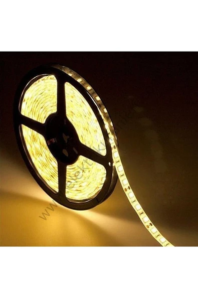 Pazariz Led Şerit Aydınlatma İç Mekan 5 m Gün Işığı - Resim 2
