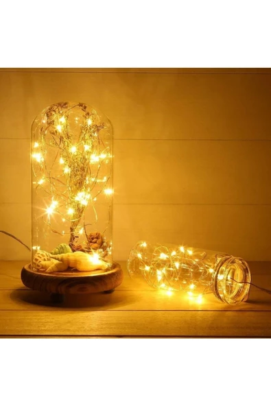 Pazariz Peri Led Işık 5 Metre Gün Işığı Dekor Lambası 50 Ledli - 2