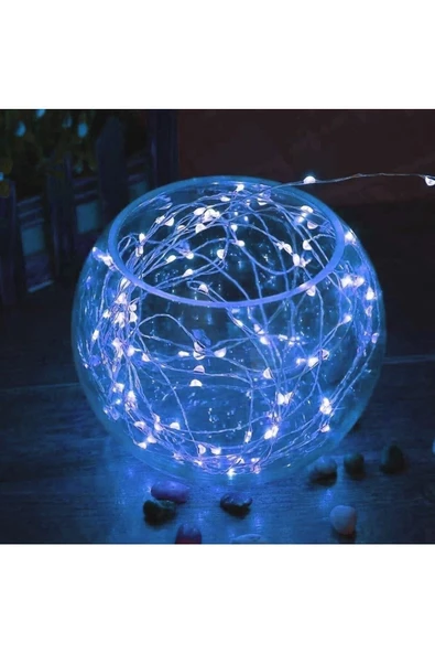 Pazariz Pilli 5 Metre Dekoratif Peri Led Beyaz Aydınlatma Süsleme Lambası- - Resim 2