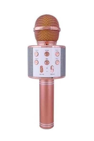 Pazariz Evr Krk 02 Karaoke Mikrofon Rose Gold