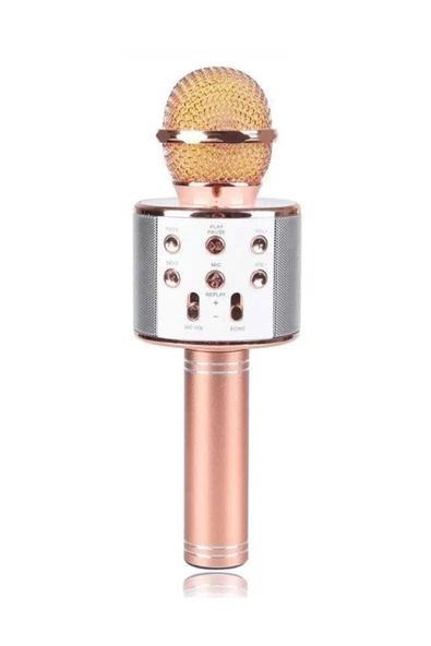 Pazariz Karaoke Mikrofon Türkçe -altın Sarısı C-792