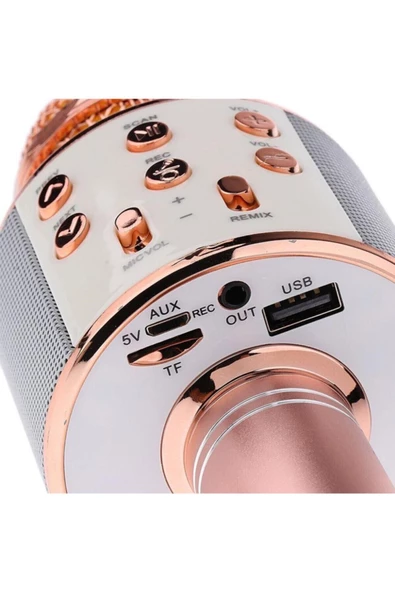 Pazariz Ws 858 Karaoke Mikrofon Bluetooth Hoparlör - 2