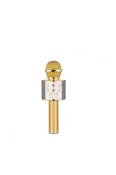 Pazariz Karaoke Mikrofon Dahili Hoparlörlü Usb Flash Destekli Ws-858 Gold