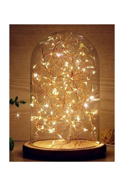 Pazariz 10mt Peri Günışığı 100 Led Pilli Noel Parti Yılbaşı Ağaç Dekor Aydınlatma Lamba Animasyonlu Süsleme ürün görseli 1