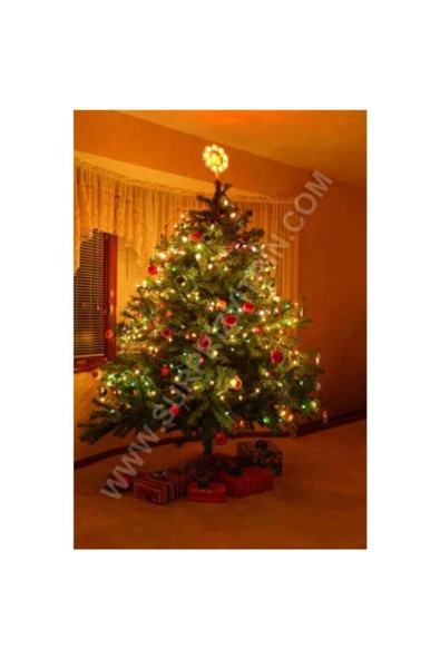 Pazariz 10mt Rgb 100 Led Fişli Noel Parti Yılbaşı Ağaç Dekoratif Aydınlatma Lambası Animasyonlu Süsleme ürün görseli